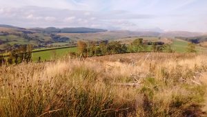 img_20161025_144607919